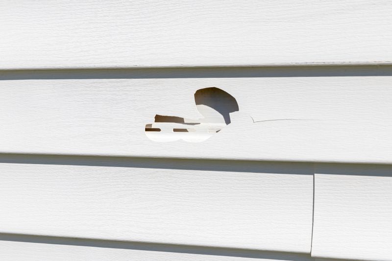 Vinyl Siding Repair - Assessment